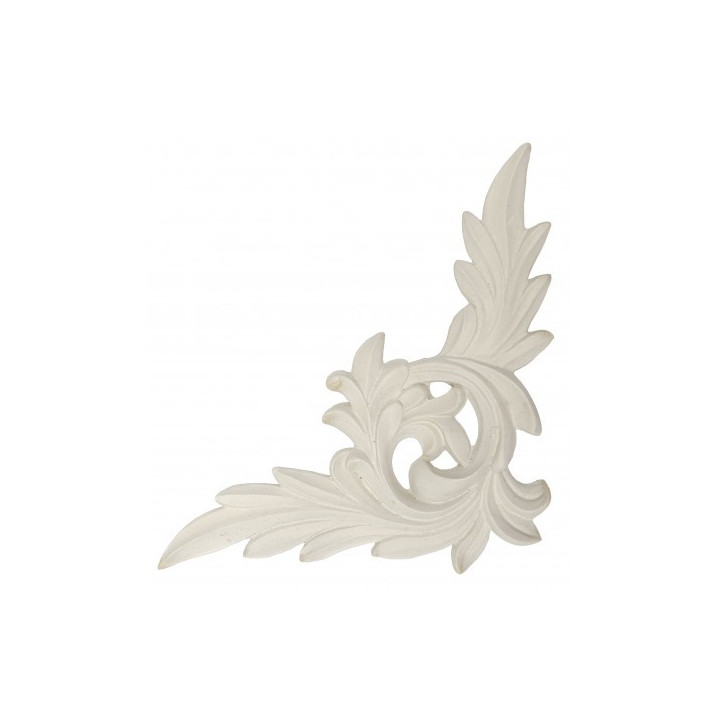 copy of 